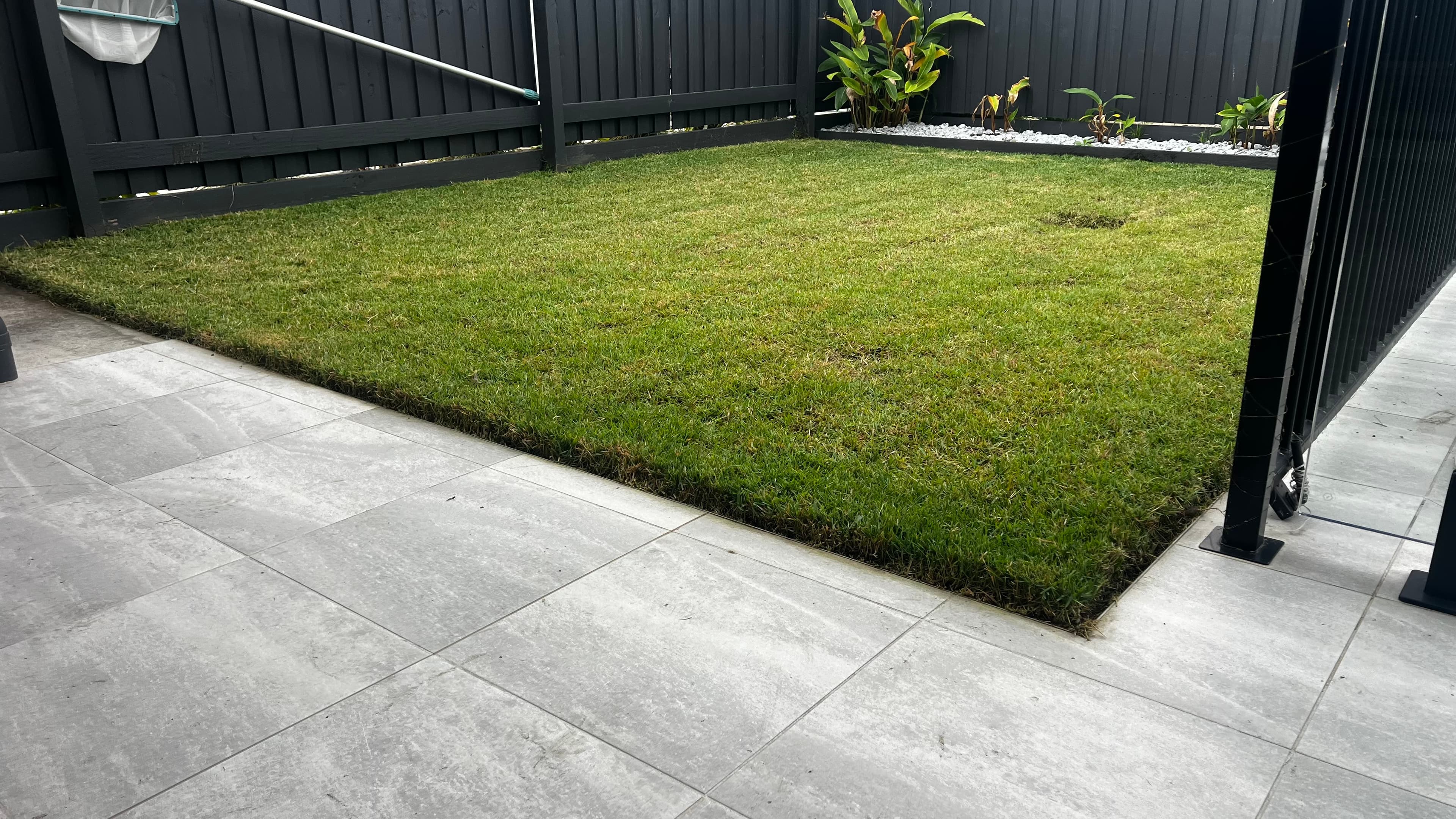 Neatly trimmed rectangular green lawn bordered by grey tiles and a dark grey fence.