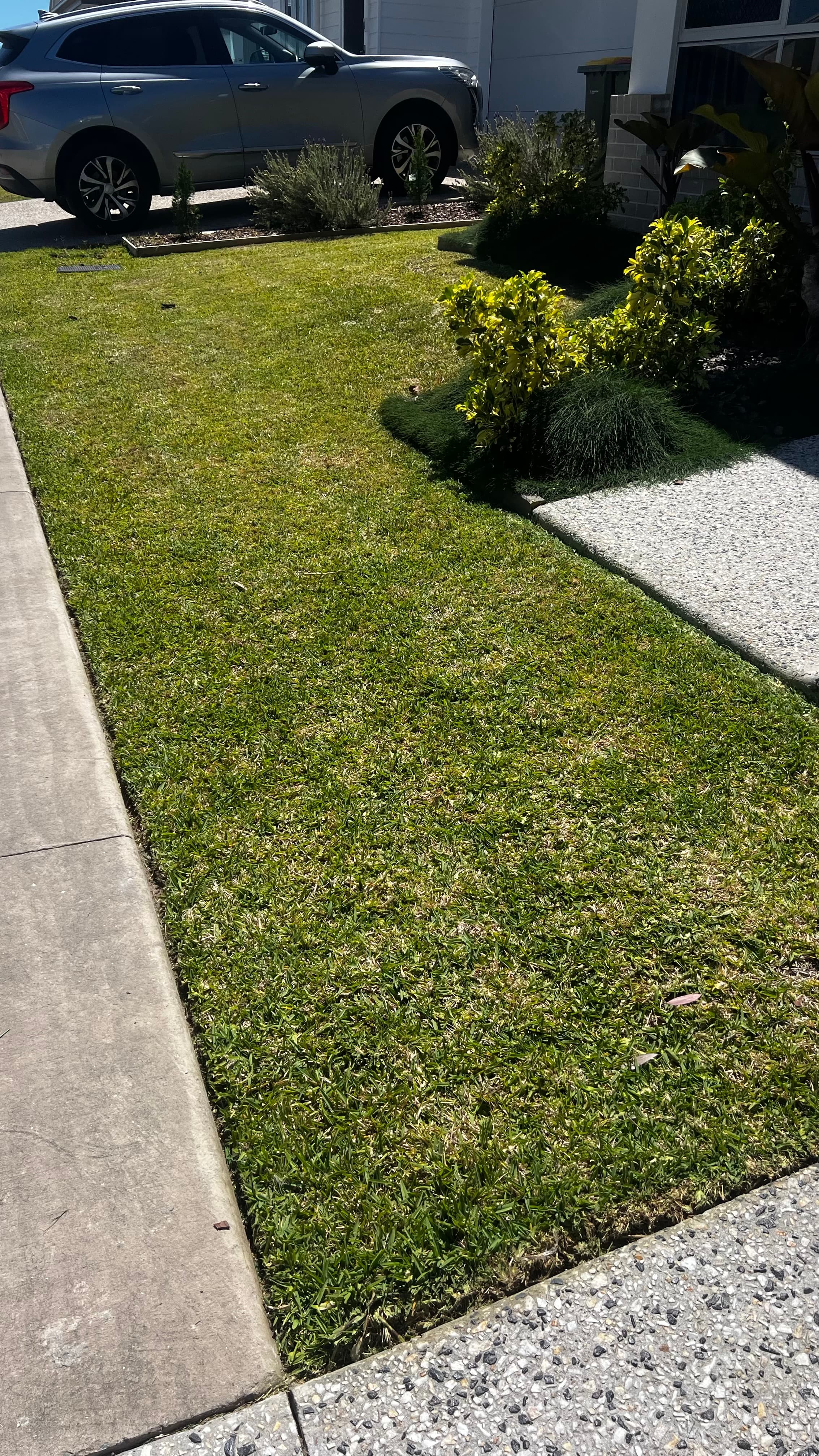 Silver SUV parked in a driveway beside a green lawn, concrete sidewalk, and garden.
